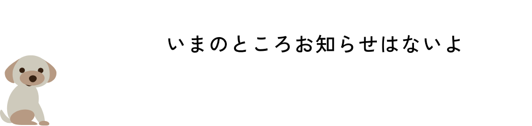 いまのところお知らせはないよ